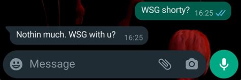 what does wsg mean in slang|wsg meaning in text message.